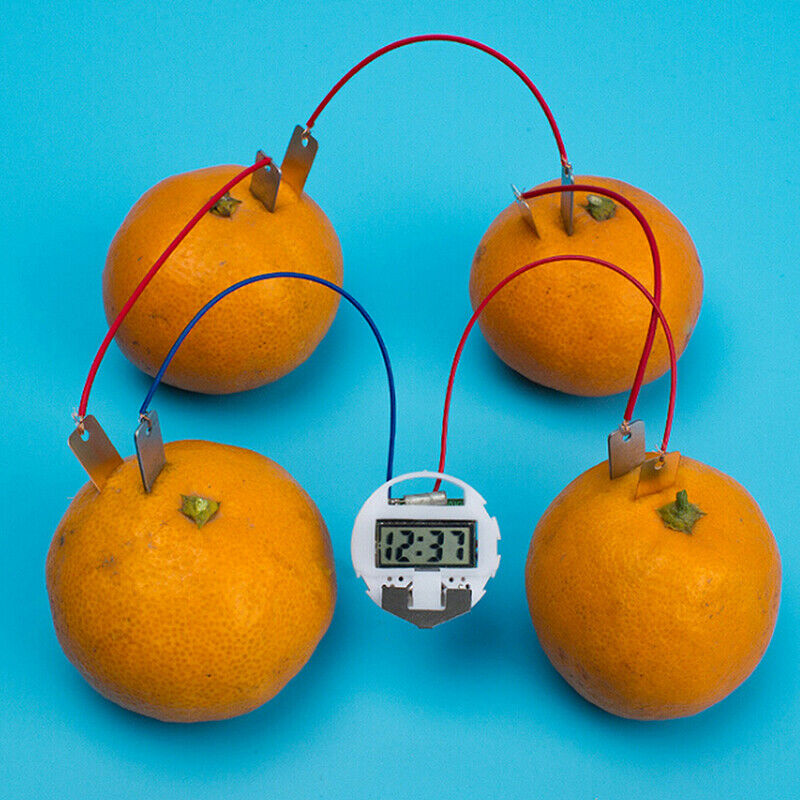 1 Set children bio energy science kit fruit supply electricity experiments  Gw