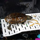 Aquarium Tank Reptile Turtle Tortoise Basking Terrace Platform Floating Dock Hf