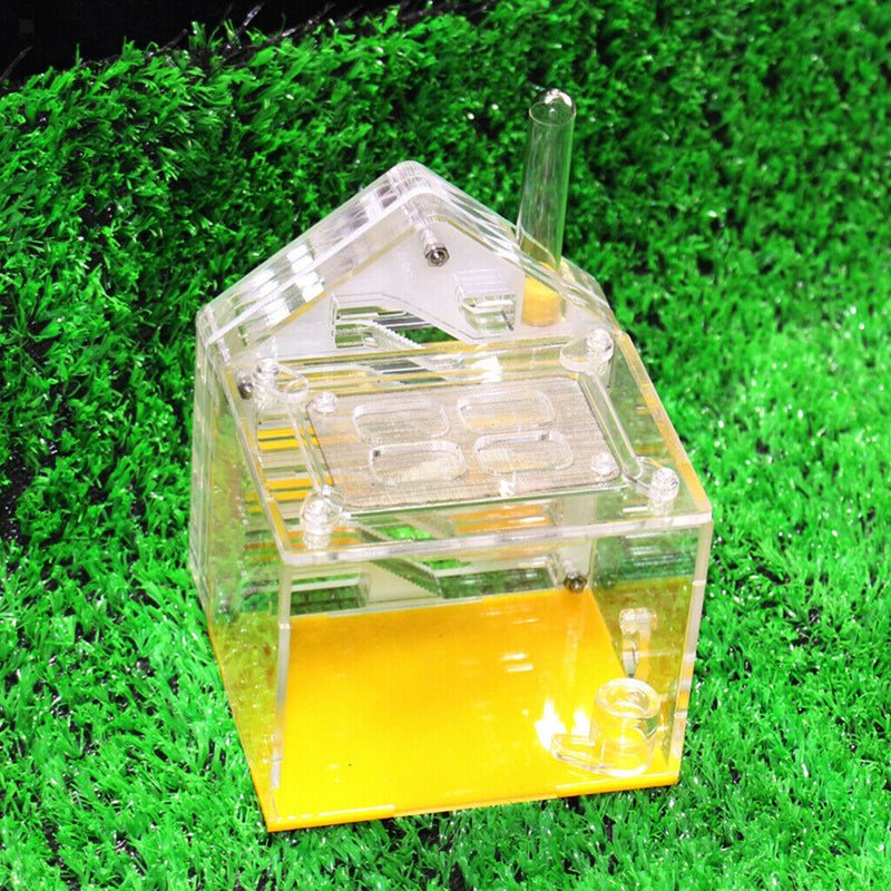 Formicarium Acrylic Transparent Feeding Breeding Box - Allows Study of