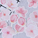 45 x Cherry sakura words bullet journal decorative stickers adhesive stickers FT