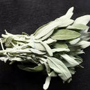 White Sage California White Sage Pure Leaf Smoky Purification White Sage Sm