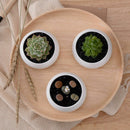 Decorative Small Round Succulent Plant Pot 3 Tier Bamboo Stand-Window Displ G6J9