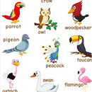 Birds~Kids Fun Early Learning Educational Preschool Poster Charts