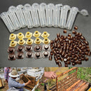 Complete queen rearing cup kit system bee beekeeping catcher box & 100 cell cup#