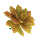 10Pcs Artificial Plastic Succulent Echeveria Flower DIY Microlandscape Decor