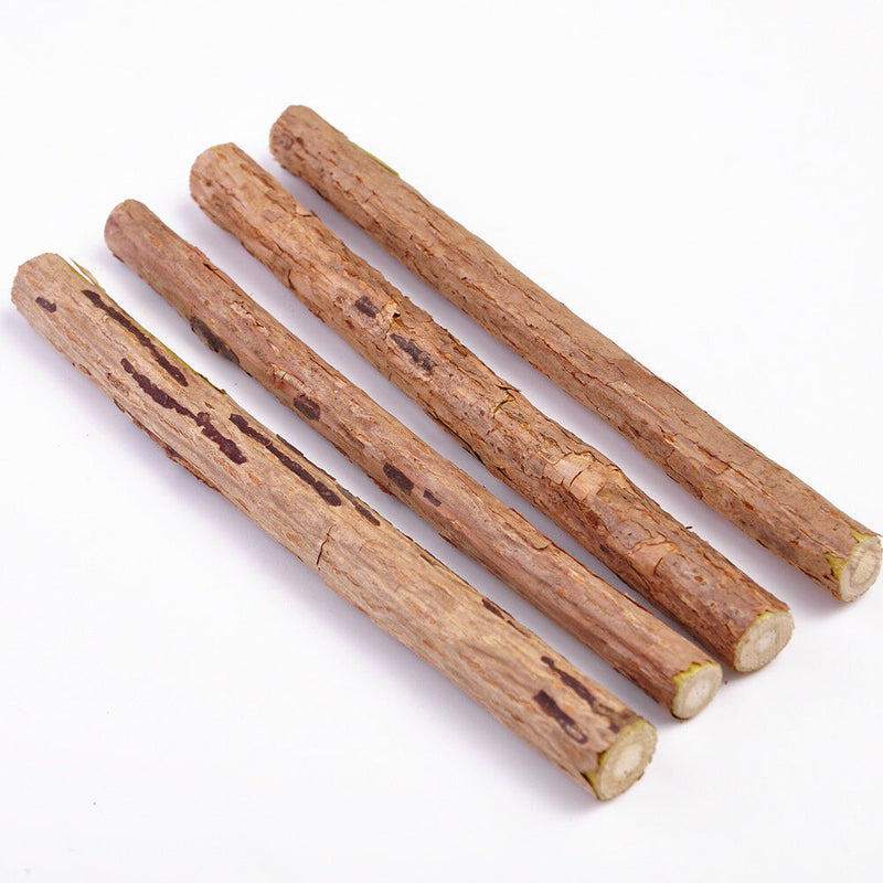 Cat Cleaning Teeth Pure Natural Catnip Stick Silvervine Tasty Snacks Treat Toys