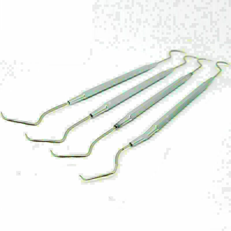 Dental Explorer Probe Dentist Teeth Clean Hygiene Instrument Tool New D2I2 M6T5