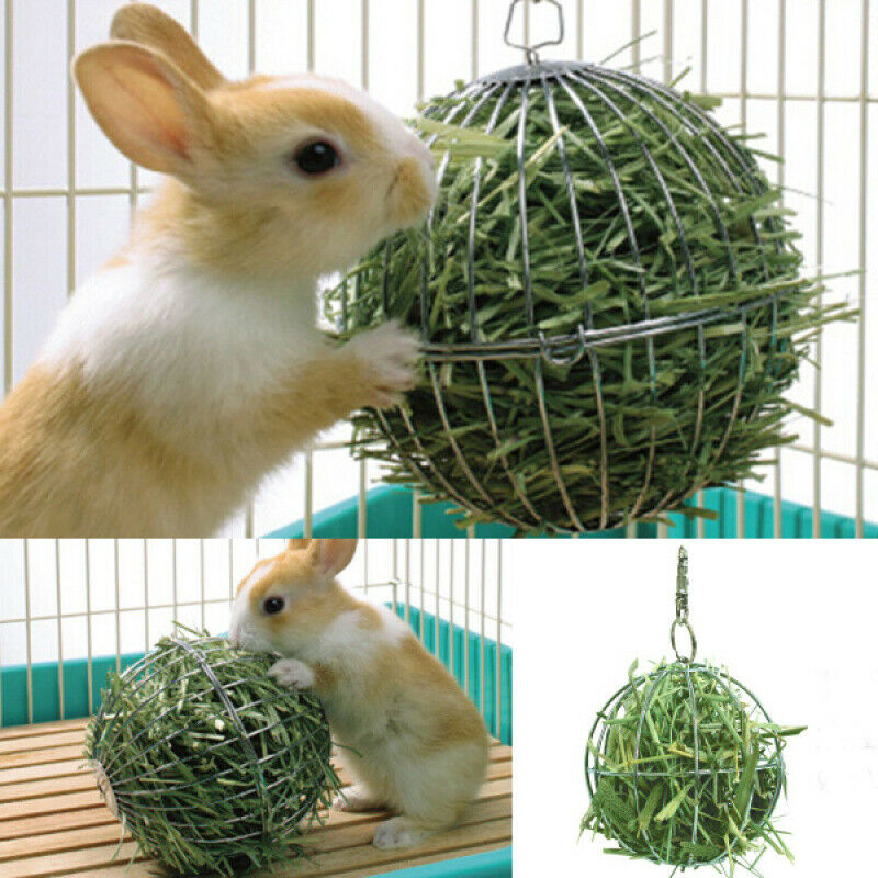 Sphere Feed Dispense Exercise Hanging Hay Ball Guinea Pig Hamster Rabbit P GDJ