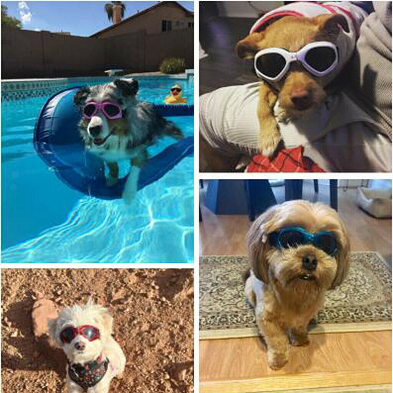 2 Pcs Folding Pet Goggles, Stylish Dog Sunglasses for UV Stop Waterproof