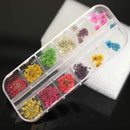 60pcs Real Dry Dried Big & Small Flowers For  Nail art Tips Decoration Fashion