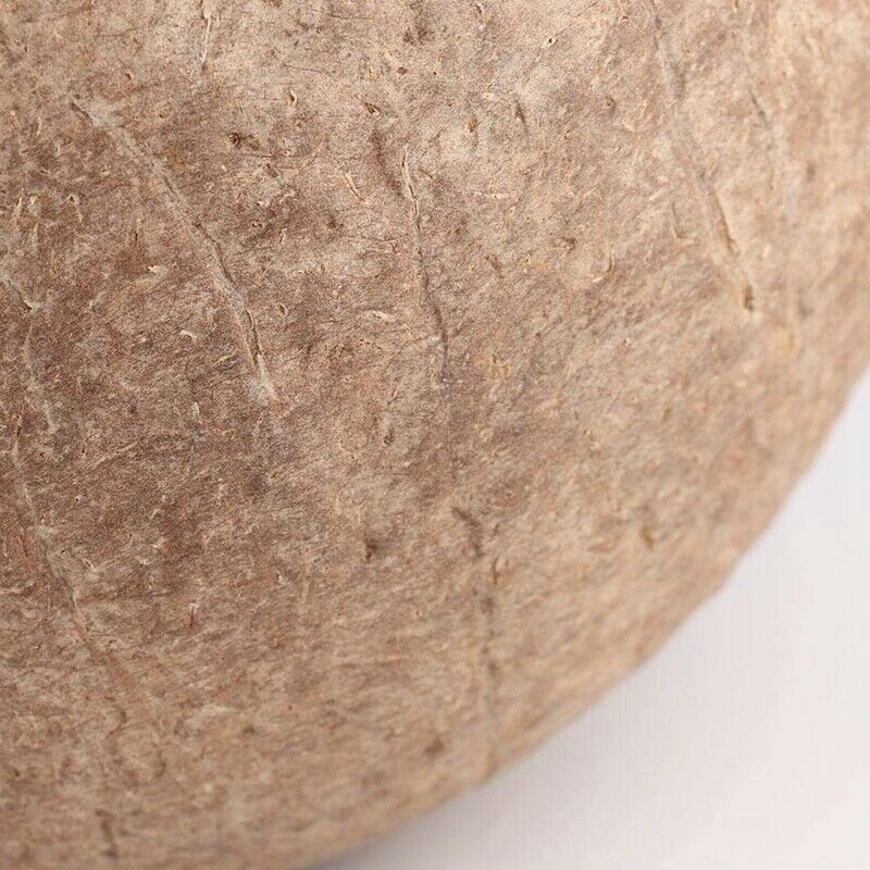 Bird Nest Hanging Natural Coconut Shell Birds House Hut Breeding Nesting Bi