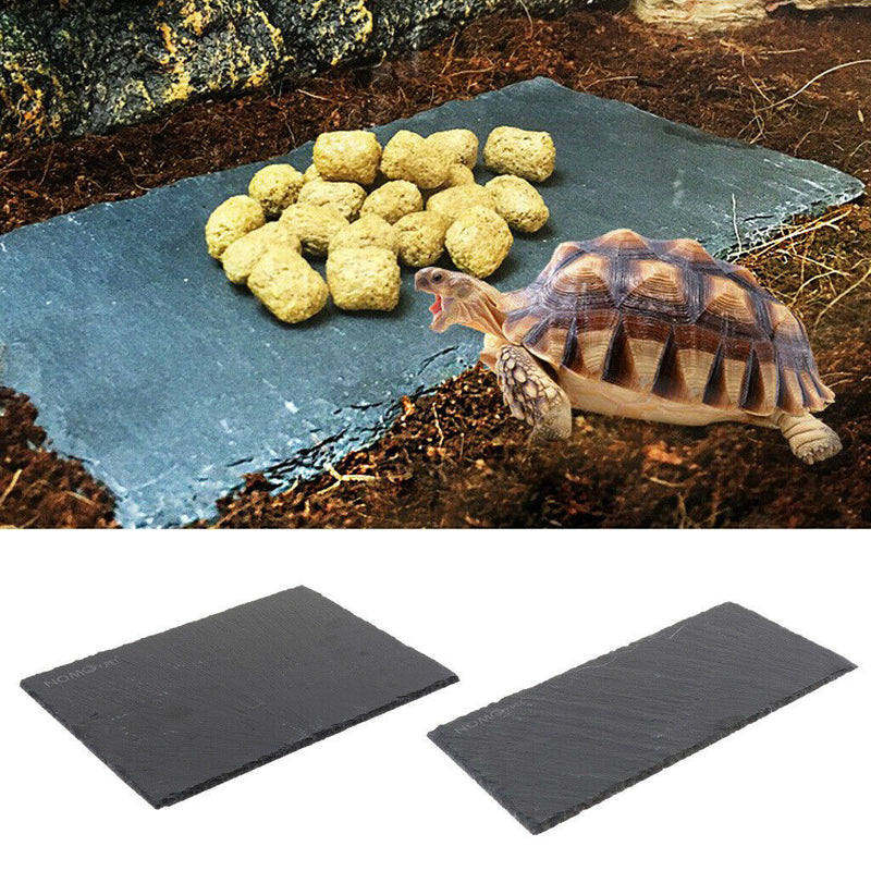 Turtle Reptile Rock Food Dish Plate Grinding The Nail Tortoise Feeding Bowl -