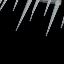 3pcs Plastic Bird Pigeon Spikes Anti Bird Pigeon Spike Scare Pest Control Gar Gn