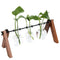 Diy Home Garden Wooden Rack Transparent Vase Glass Plant Hydroponics Tablet Z6M3