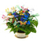 10 loaded garden butterfly piles, 12 garden dragonflies , garden decoration