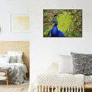 DIY Digital Painting By Numbers Peacock Frameless Canvas Picture Home Decor
