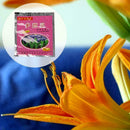 Carbendazim Efficient Bactericide Wettable Powder Flower Plant Decor Z7G6 G B8F1