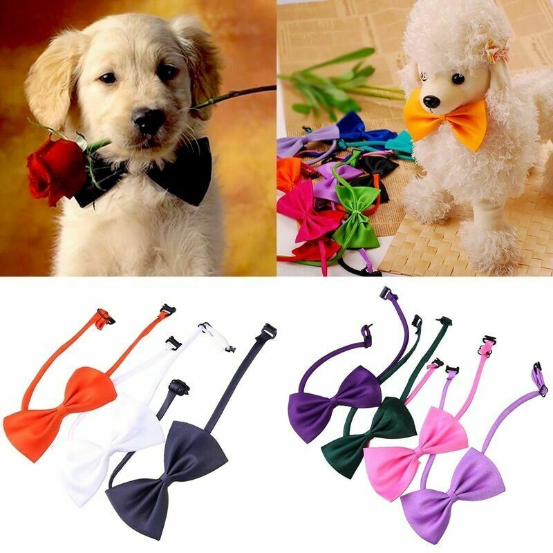 10Pcs/Set Lovely Cute Bow Tie For Dog Cat Pet Necktie Collar Neck N4G7