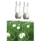 Set of 17 Tomato Hooks Support Clips For Planting Fruit Tomato with 15m Rope
