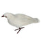 2 Pieces Realistic Standing Flying Doves with White Feathers Birds Animal