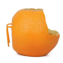 Pet Hamster Bird Pet Parrot FRUIT Feeding Bowl Cage Hanging Fixed Food Feeder