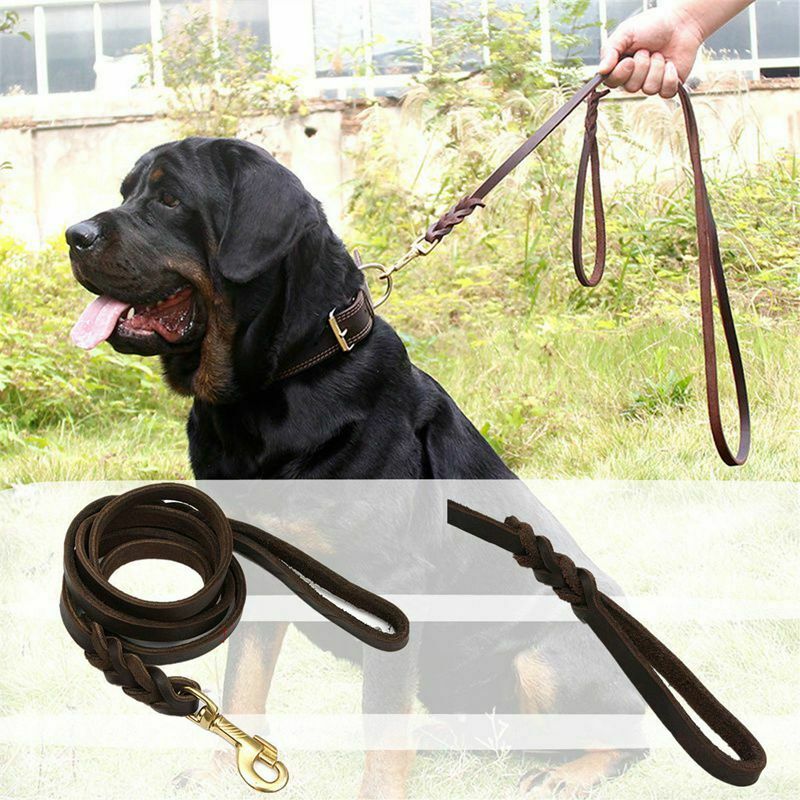 2M Long Leather Braided Pet Dog Walk Traction Collar Strap Training Leash L P2D1