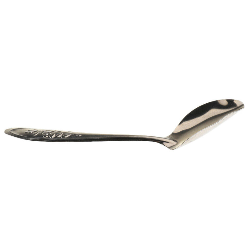 Pack Of 5 Stainless Steel Spoons For Parrot Milk For Pet Birds