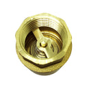 Vertical Brass Spring Check Non-Return Valve Size 6 Points DN20 Thread