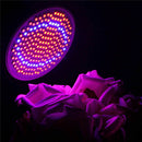 E27 200 LED Plant Grow Light Lamp Flower Seeds Growing Lights Bulbs Hydropo