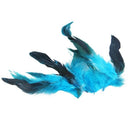 50 Beautiful cock feathers 12-18cm / 4-7inch blue K2S7