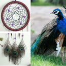 Peacock Pattern Feather Dream Catcher Feather Hanging Handmade Ornament