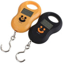 50Kg /10G Mini Digital Hanging Scale for Fishing Luggage Travel Weighting S