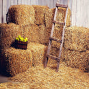 Autumn Village Photography Backdrops Photo Background Studio Video Decor