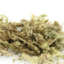 Water Moss Water Grass Substrates Nutrition Organic Fertili OZ