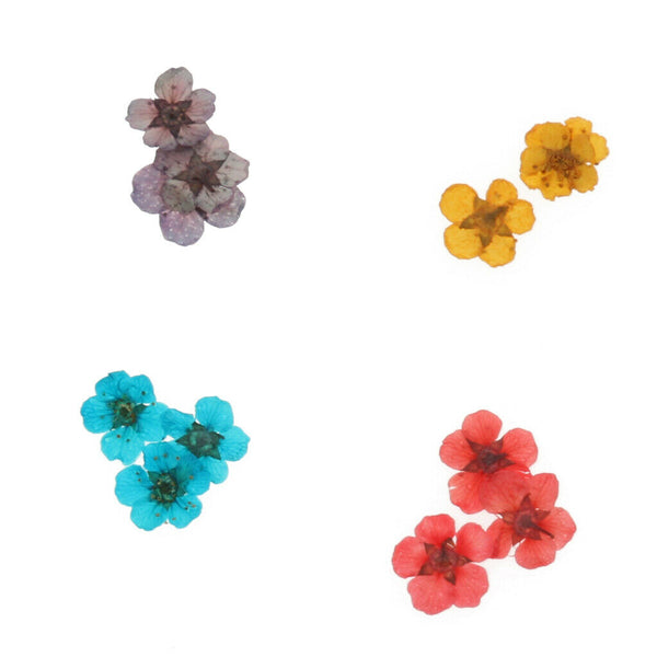 12 Colors Real Dry Nail Flower Art Decoration Manicure Nails DIY Stickers