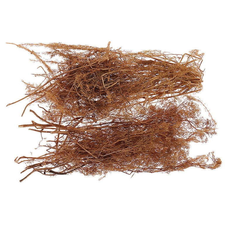 Layout Dry Natural Quinoa Models DIY Landscape For RR Train Diorama Scenery