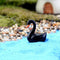 Mini Landscape Moss Ornament Cartoon Small Ornaments Black Swan
