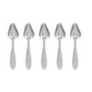 5pcs Small Bird Parrot Stainless Steel Feeding Spoon Special Feeding Scoop xcv