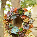Rustic Iron Wire Wreath Frame Succulent Pot Hanging Planter Plant Holders