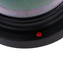 Dice Cup Electrical Dice Cup with 5 Dices 2 x AA Battery Powered for RPG MTG