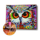 5D DIY Diamond Painting Kits Animal Full Round Drill Picture (B2513 Owl)