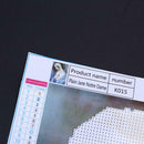 DIY Rhinestone Embroidery Virgin Mary Diamond Painting Inlaid Paintings Kit