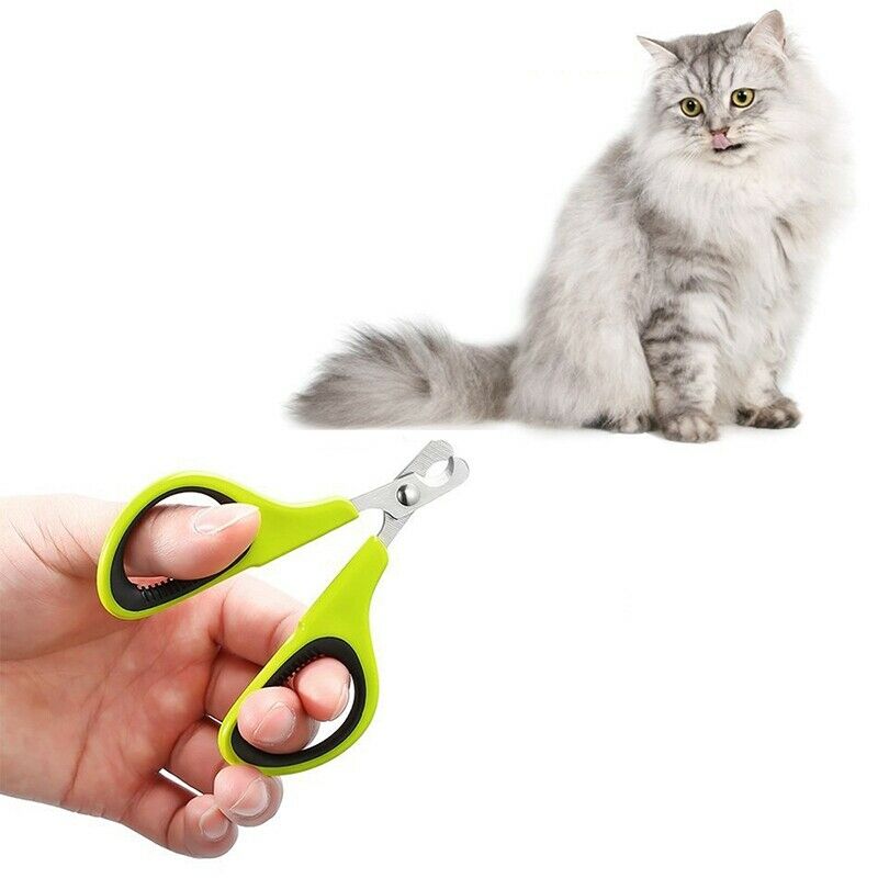 Cat Pet Dog Grooming Nail Toe Claw Clippers Cutter Plier Small dog cat nail C3M6
