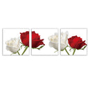 Red and White Rose Flowers Print on Canvas Modern Artwork for Wall Decor