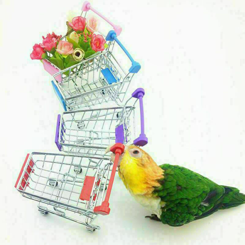 HOT Parrot Bird Toys Supermarket Shopping Cart Intelligence Growth Growth E K1W2