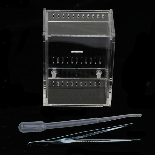 Clear Acrylic Box Insect Reptile Transport Breeding Feeding Case Container