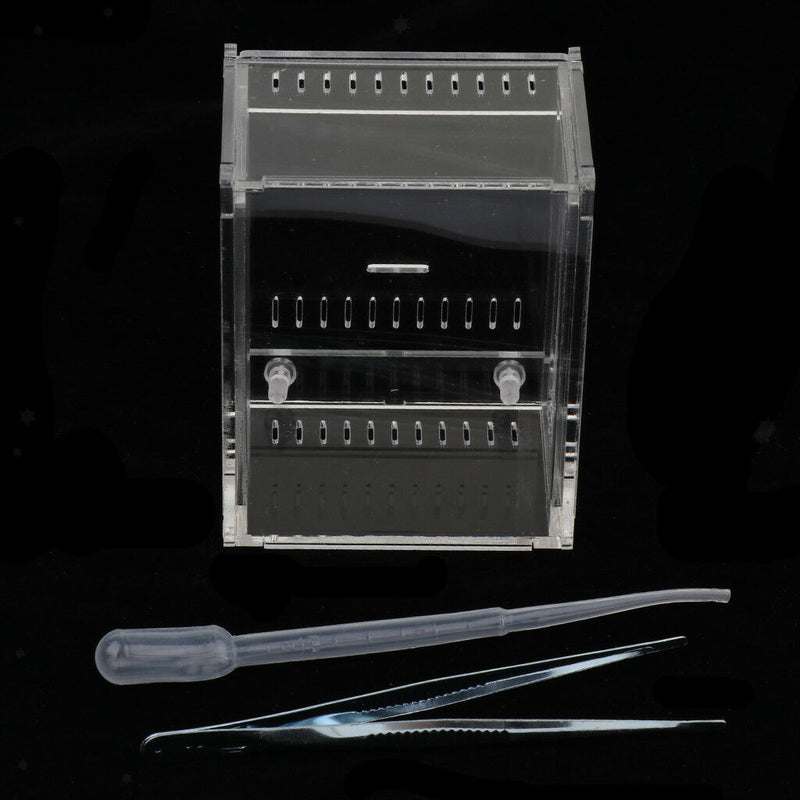 Clear Acrylic Box Insect Reptile Transport Breeding Feeding Case Container