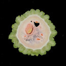 6x Dried Vegetable Bitter Gourd Slices Specimen for DIY Mobile Phone Case