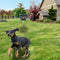 Solar Powered Animal Repeller Garden Squirrel Cat Dog Scarer Deterrent