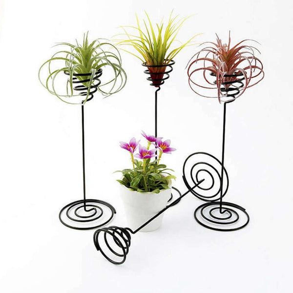 Air Plant Stand Holder Air Plant Base Container Tabletop Planter Tillandsia